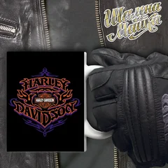 moto, bike, мото, мотоцикл